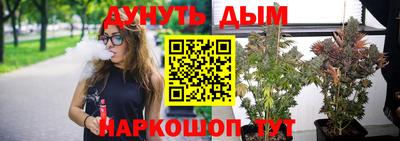 гидропоника Дубна