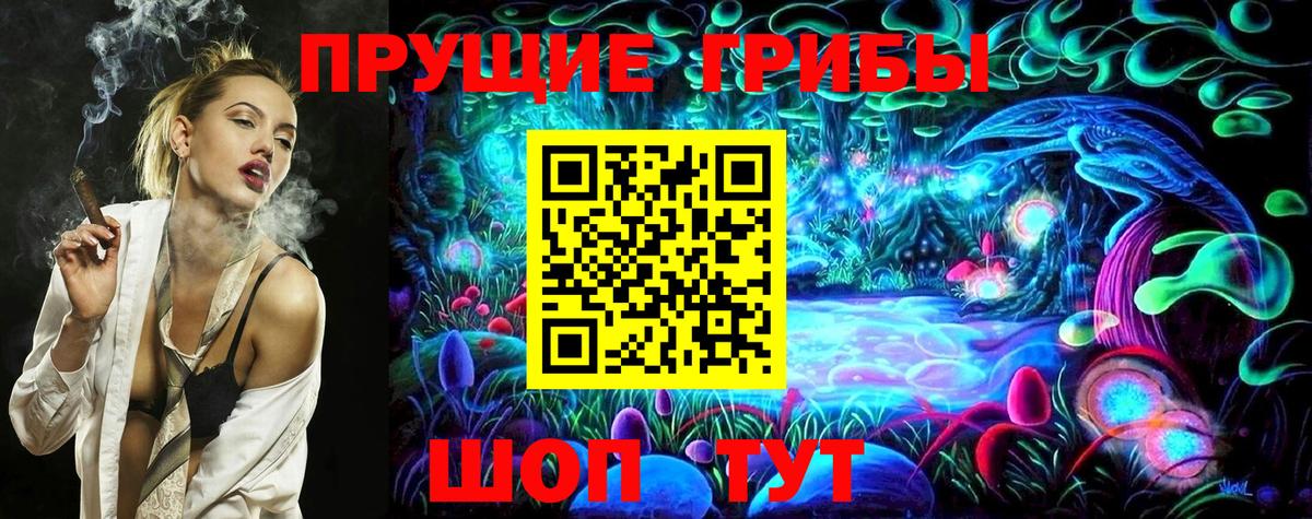 Галлюциногенные грибы Psilocybe Нижнеудинск