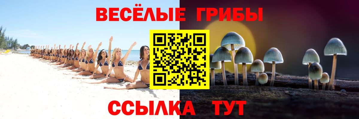 Нижнеудинск  Псилоцибиновые грибы прущие грибы  купить  сайты  Вход с VPN  Псилоцибиновые грибы прущие грибы 